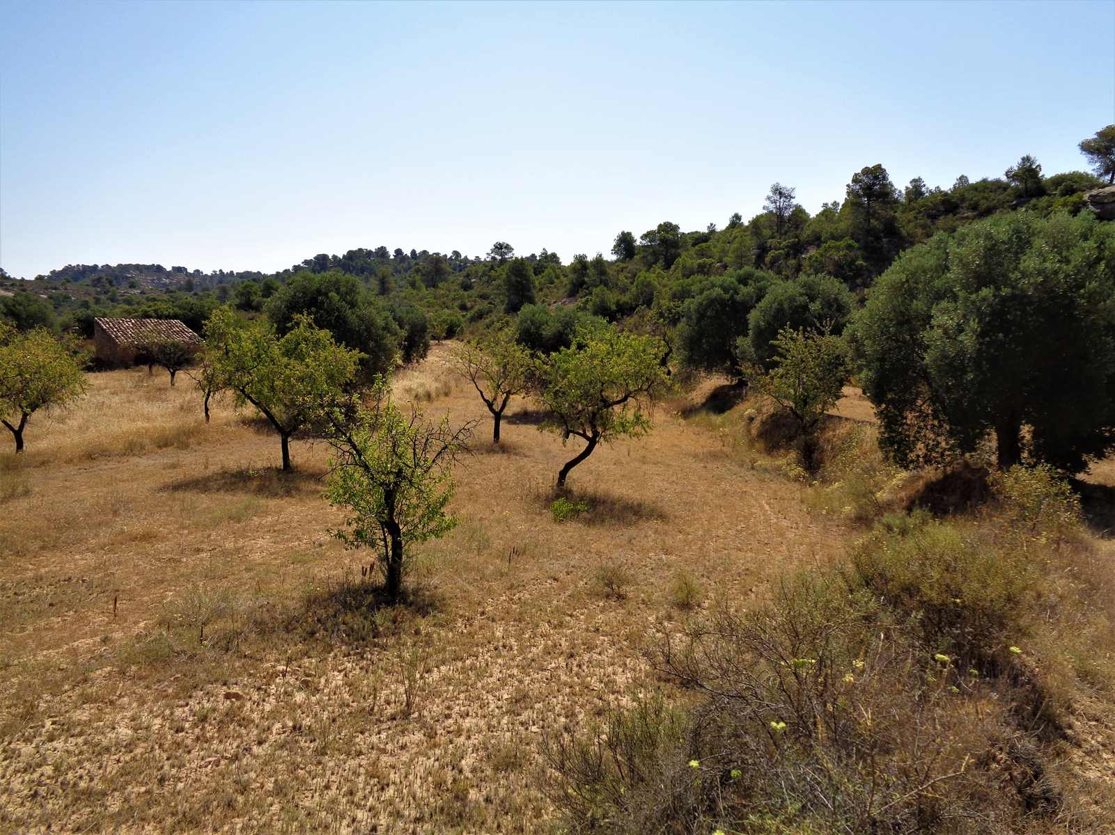 0655 / Balsa de la Sierra