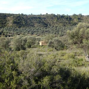 0840 / Rincón de la Gaya