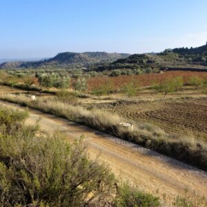 0835 / Val de Gili