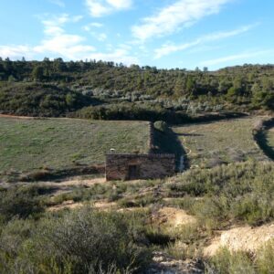 0990 / Viña de Mora
