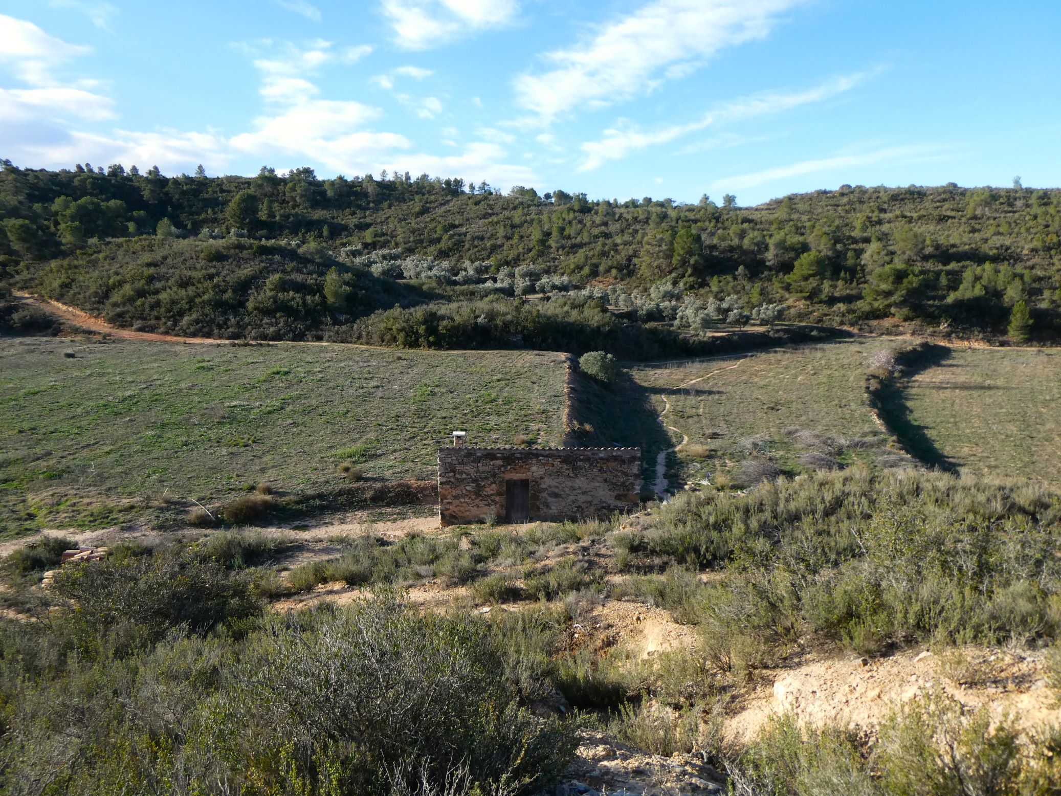 0990 / Viña de Mora