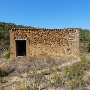 0959 / Barranc de Tremps