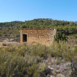 0959 / Barranc de Tremps