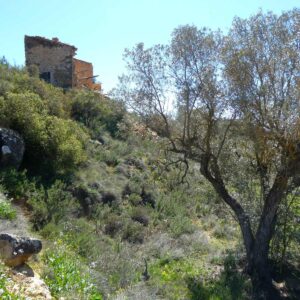 1053 / Val de Embidella