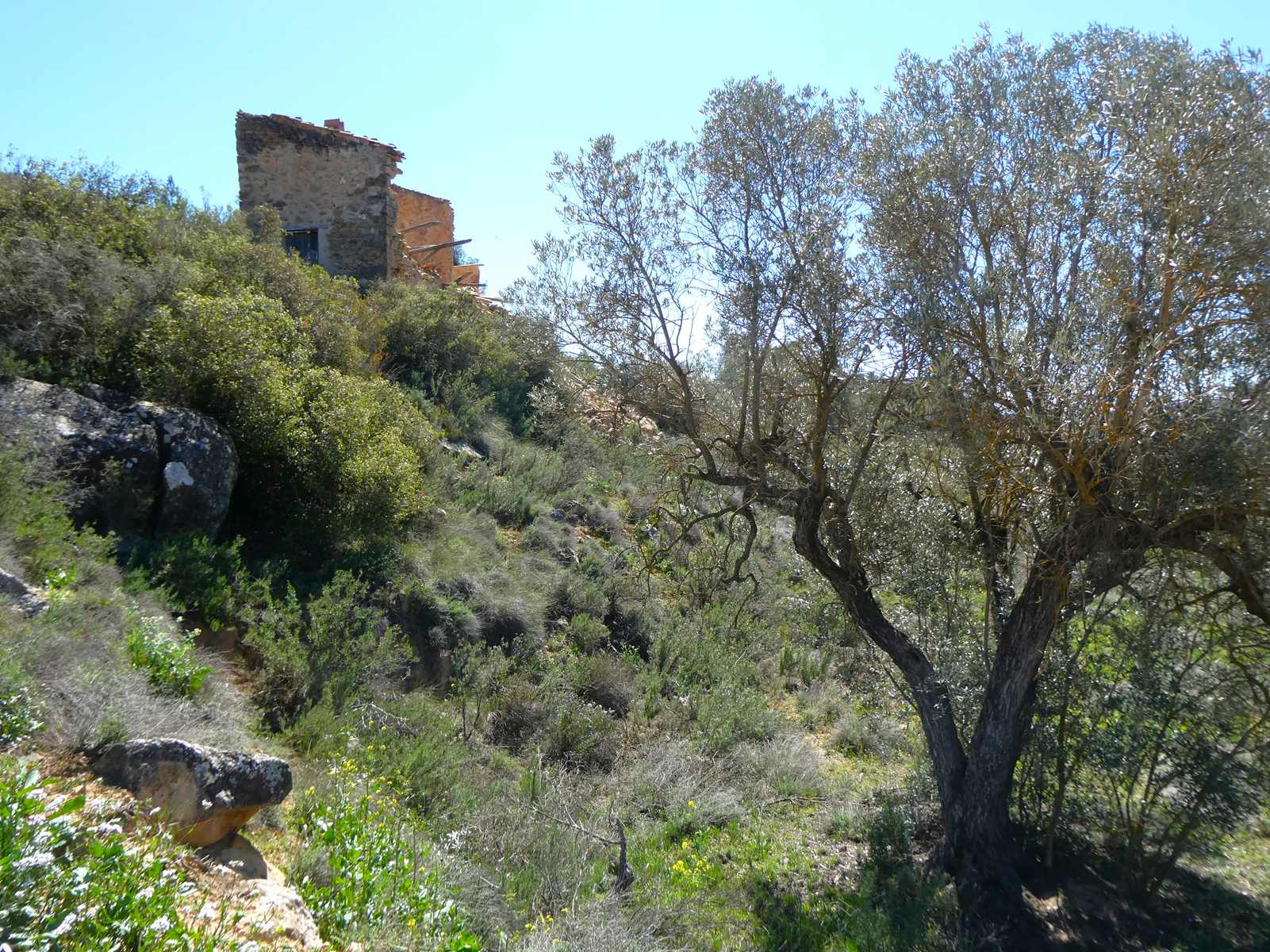 1053 / Val de Embidella