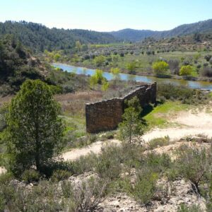 1050 / La Caputxineta