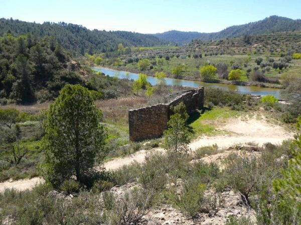 1050 / La Caputxineta