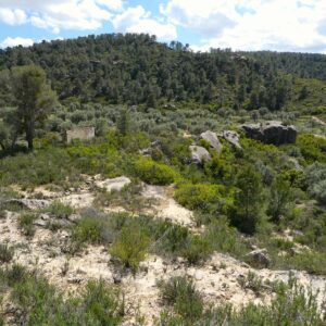 1059 / Val de Rubio