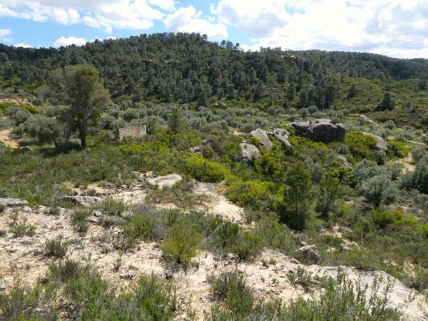 1059 / Val de Rubio