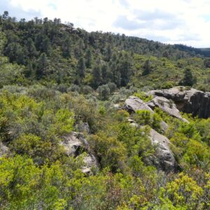 1059 / Val de Rubio