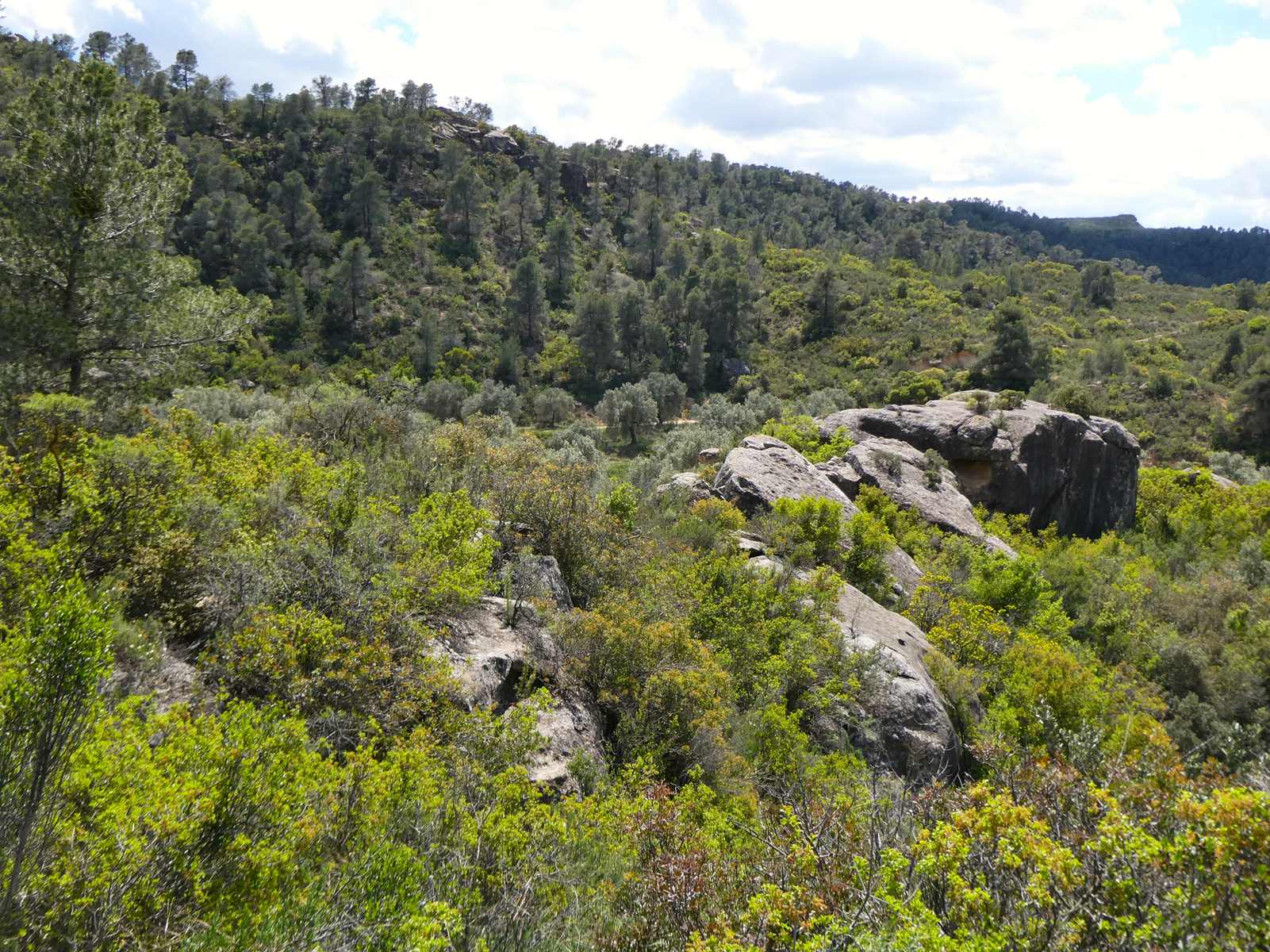 1059 / Val de Rubio