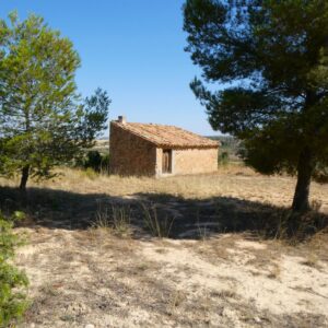 1074 / La Mangrana