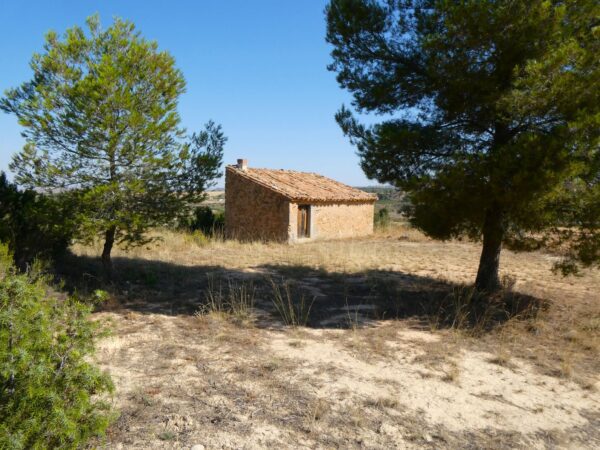 1074 / La Mangrana