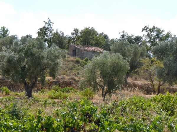 1084 / Villalonch