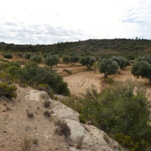 1088 / Val de la Carrera