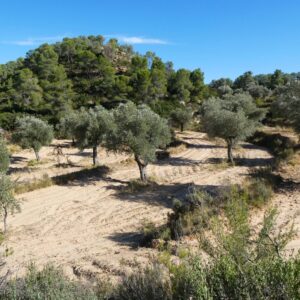 1090 / Val de Sarier