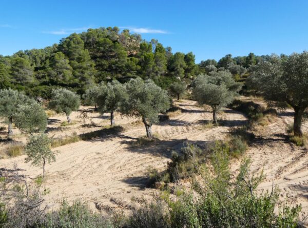 1090 / Val de Sarier