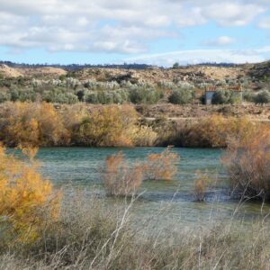 1080 / Llanos de Cañardo