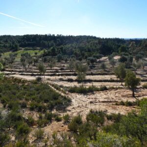 1097 / Val de Embidella