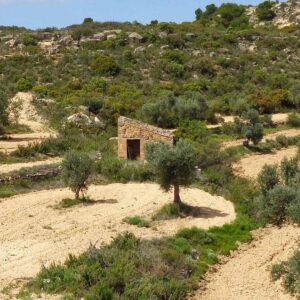 1034 / Val de Monclús