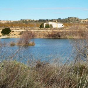 1100 / Llanos de Cañardo