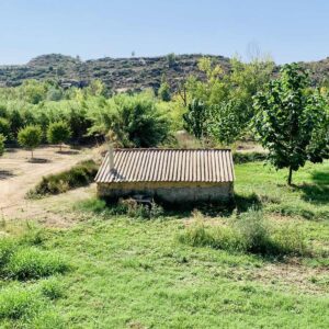 1030 / Paso Servelles