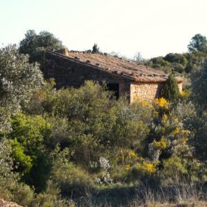 1114 / Vall dels Tolls