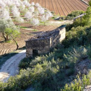 1123 / Vall d'Antuves