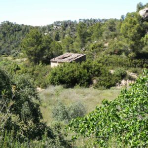 1122 / Barranco de la Fantasma