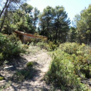 1122 / Barranco de la Fantasma
