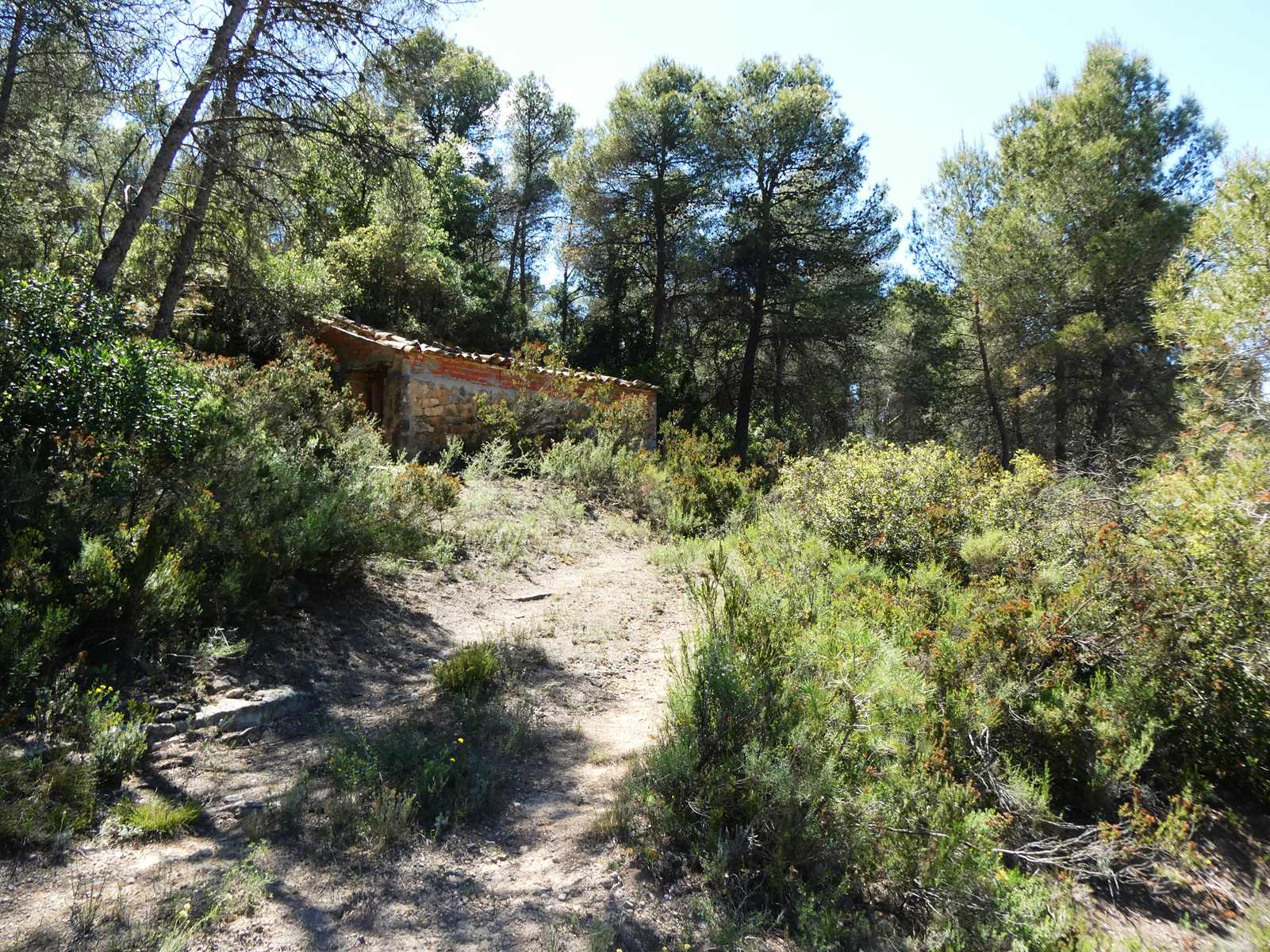 1122 / Barranco de la Fantasma