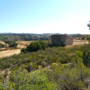 1074 / La Mangrana