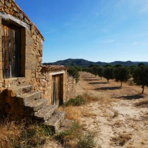 1144 / Llanos de Bonifacio