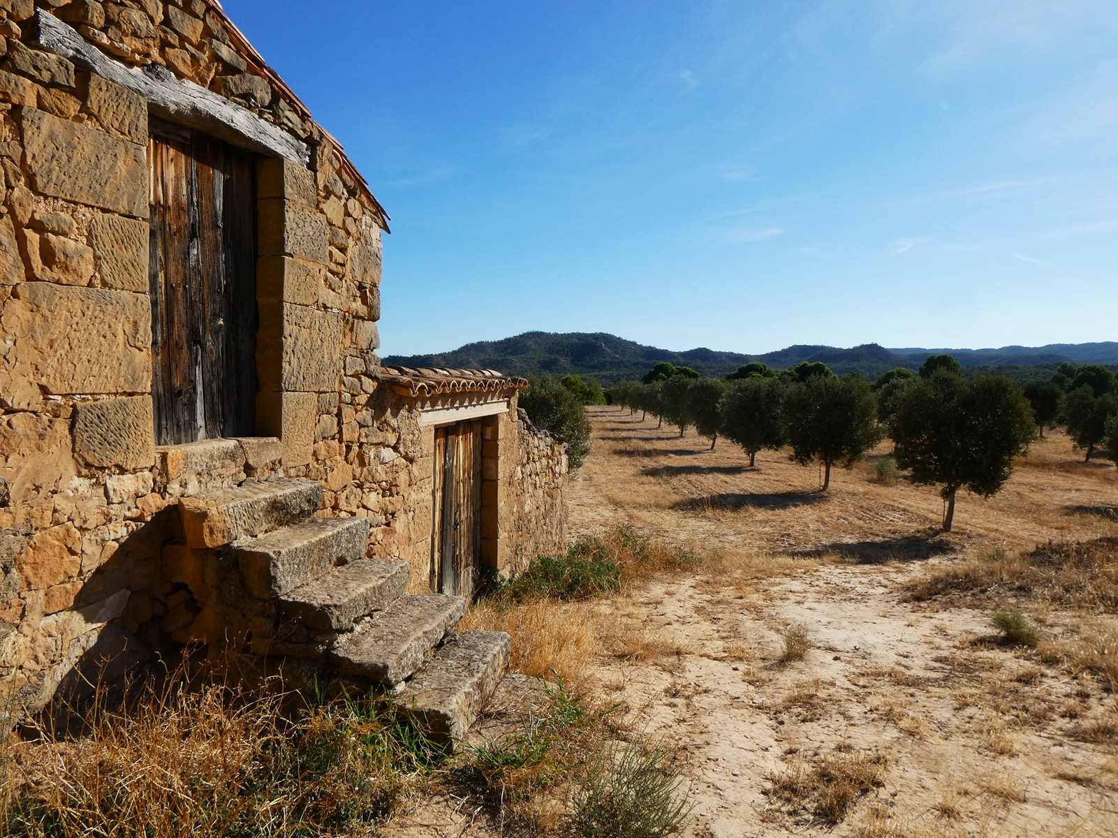 1144 / Llanos de Bonifacio