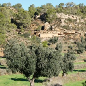 1151 / Val de Embidella