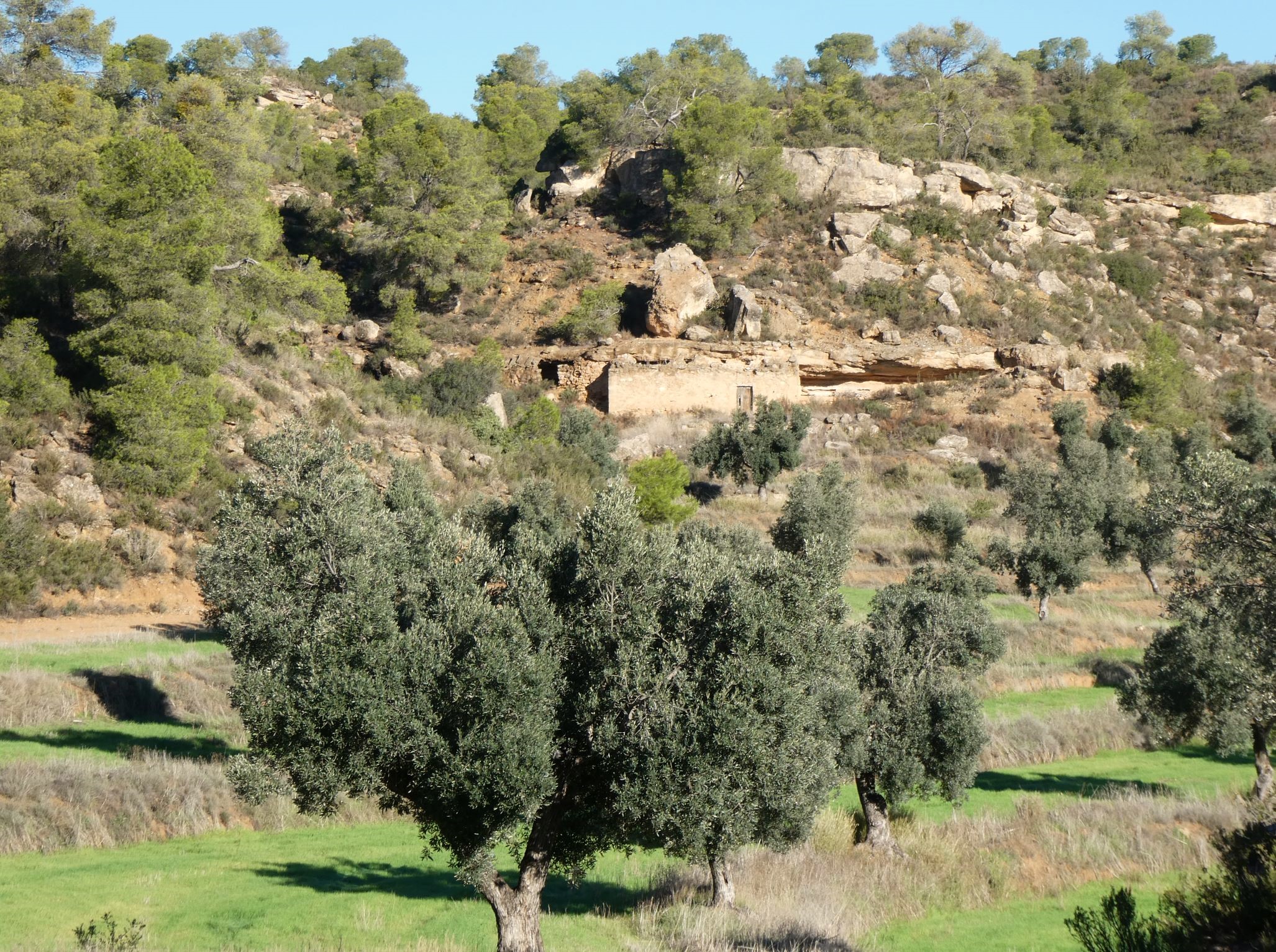 1151 / Val de Embidella